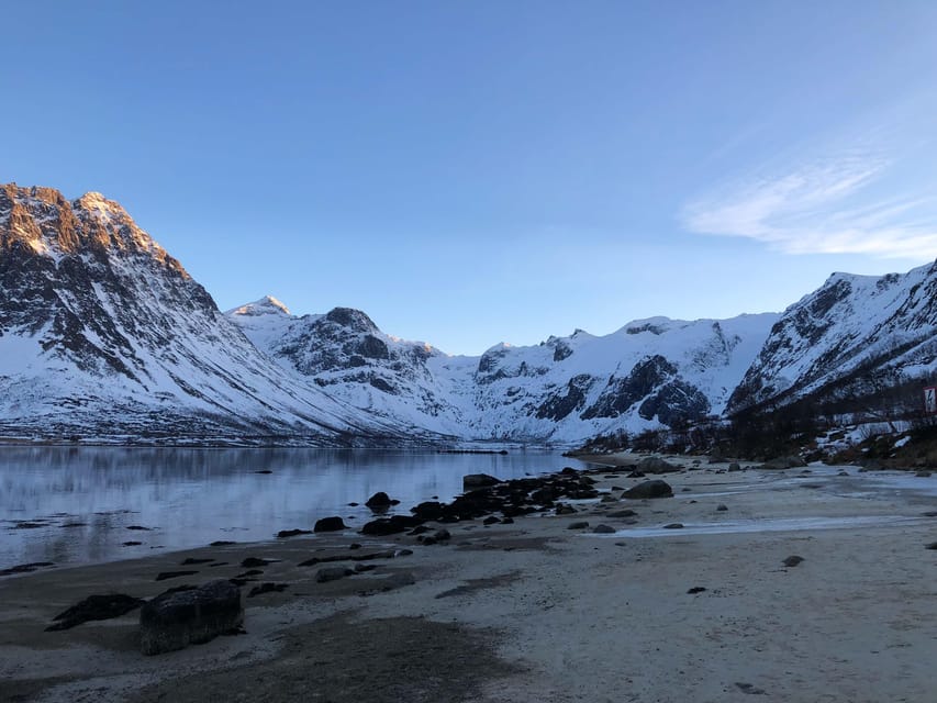 Tromsø: Fjords & Beaches Tour with Campfire and Arctic Food - Chai, cookies, and the Arctic meal