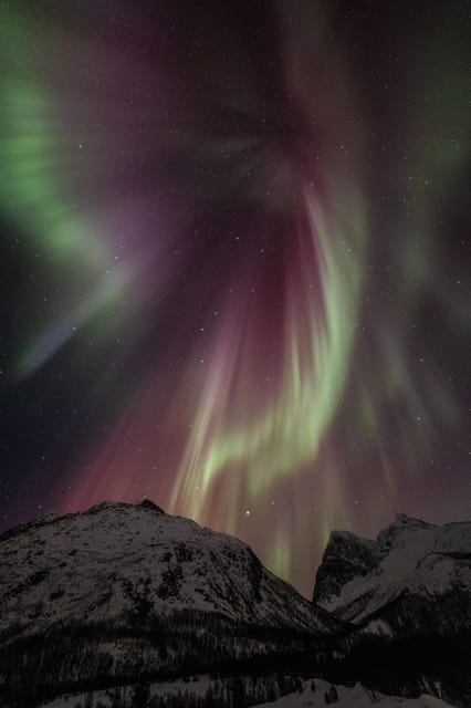 Tromsø: Fjords & Beaches Tour with Campfire and Arctic Food - Is the $304 price fair?