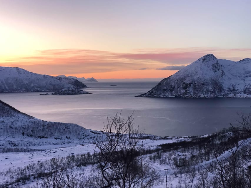 Tromsø: Fjords & Beaches Tour with Campfire and Arctic Food - Who should book this experience?