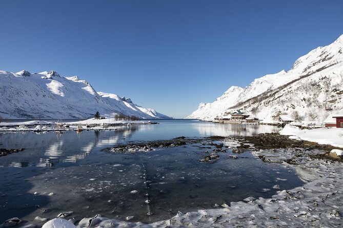 Tromso fjords road trip with fire in grill cabin by the beach. - Why the small group changes the feel