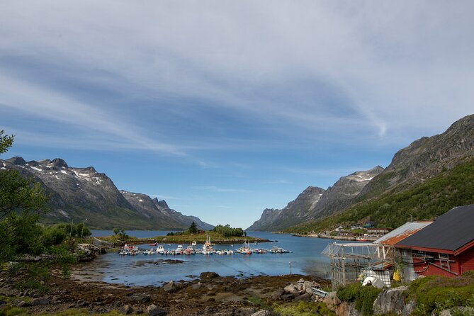 Tromso fjords road trip with fire in grill cabin by the beach. - A guide can make the difference