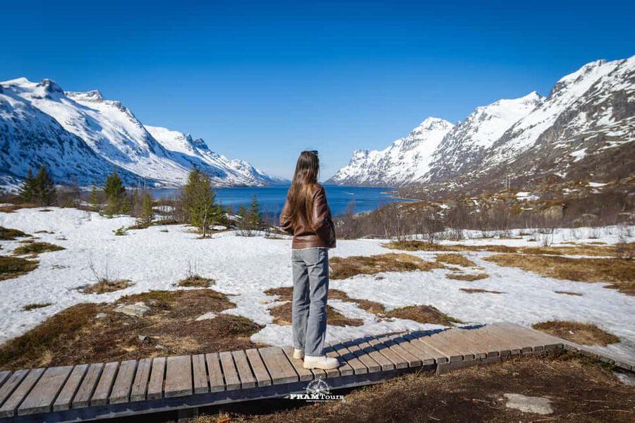 Tromso: Guided Fjord Expedition in Kvaløya with Light Lunch - Kvaløya viewpoints and short scenic stops