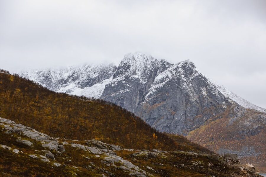 Tromso: Guided Fjord Expedition in Kvaløya with Light Lunch - Wildlife watching without false promises
