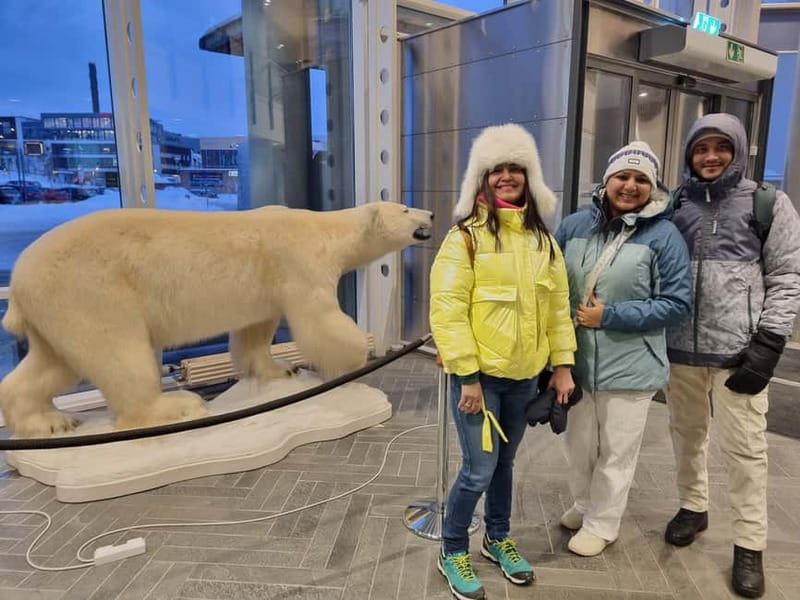 Tromsø: Guided Polar Bear Walk incl. Polaria & Polar Museum - Starting at Tromsø Cathedral