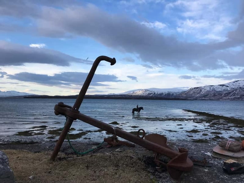 Tromsø: Horseback Riding Tour - From Tromsø Airport to Marisletta Farm