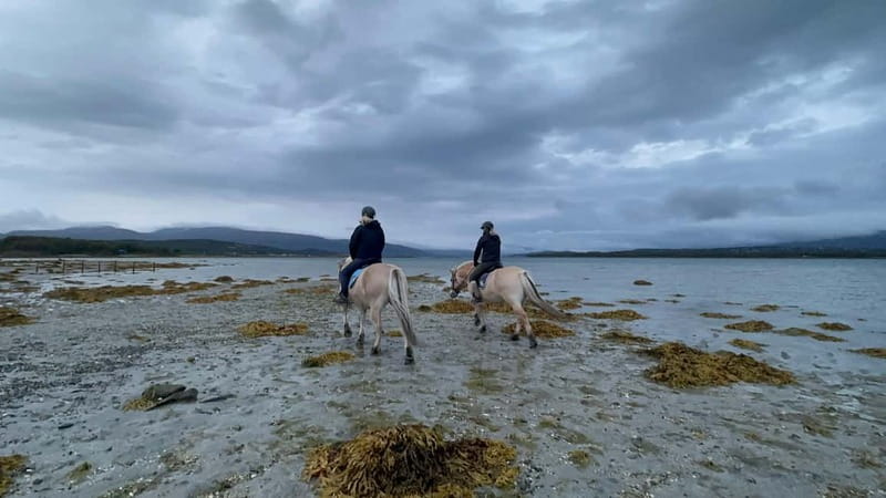 Tromsø: Horseback Riding Tour - Why the Small Group Matters