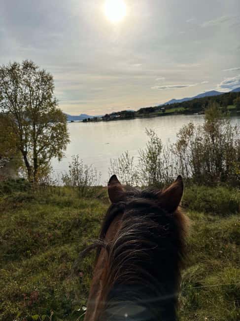 Tromsø: Horseback Riding Tour - Is $215 a Fair Price?