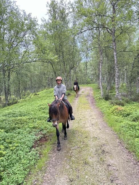 Tromsø: Horseback Riding Tour - Who Should Book This Ride?