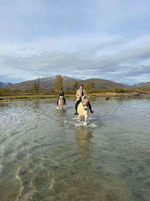 Tromsø: Horseback Riding Tour - FAQ