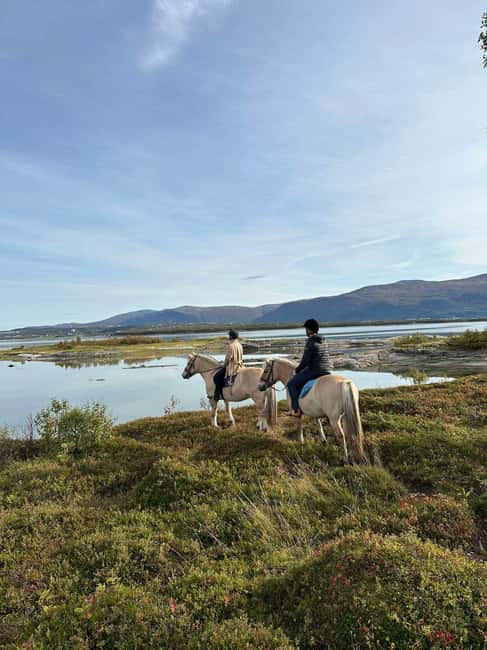 Tromsø: Horseback Riding Tour - Grooming and Saddling Before the Ride
