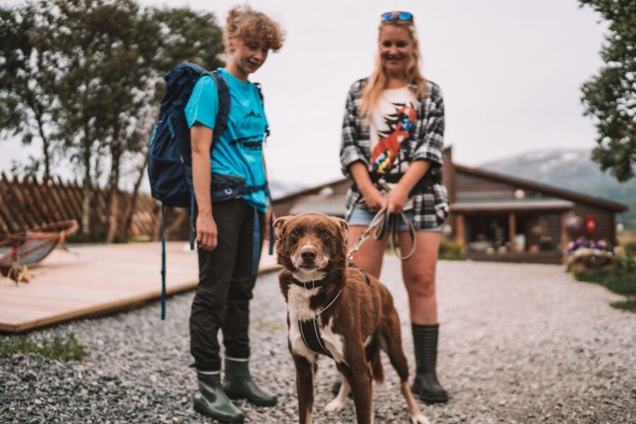 Tromsø: Husky Hike and Puppy Visit with Traditional Lunch - Who should book this Tromsø experience