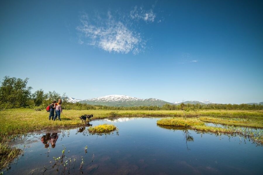 Tromsø: Husky Hike and Puppy Visit with Traditional Lunch - Should you book it?