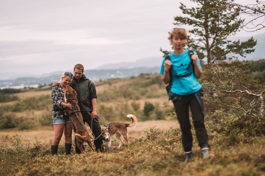 Tromsø: Husky Hike and Puppy Visit with Traditional Lunch - FAQ