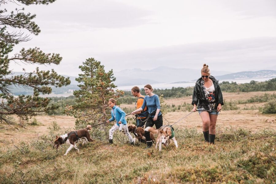 Tromsø: Husky Hike and Puppy Visit with Traditional Lunch - Rain, mud, and the practical side of the route