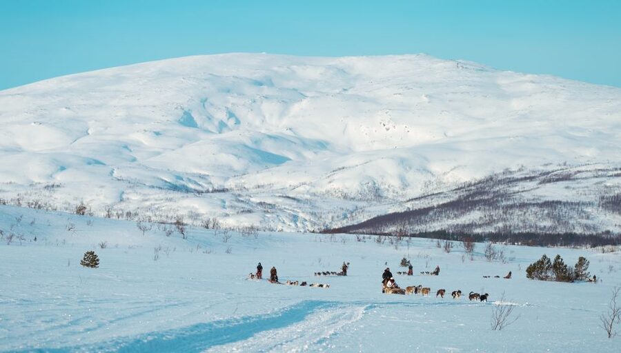 Tromsø: Husky Sled Self-Drive with Traditional Lunch - Why the self-drive format matters