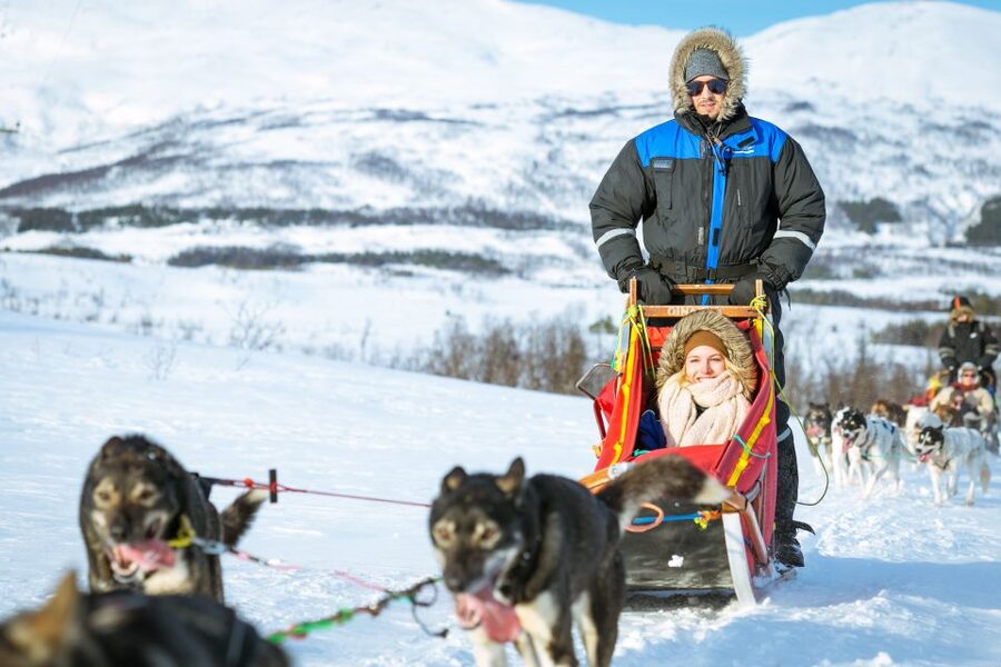 Tromsø: Husky Sled Self-Drive with Traditional Lunch - Who should book this husky tour?