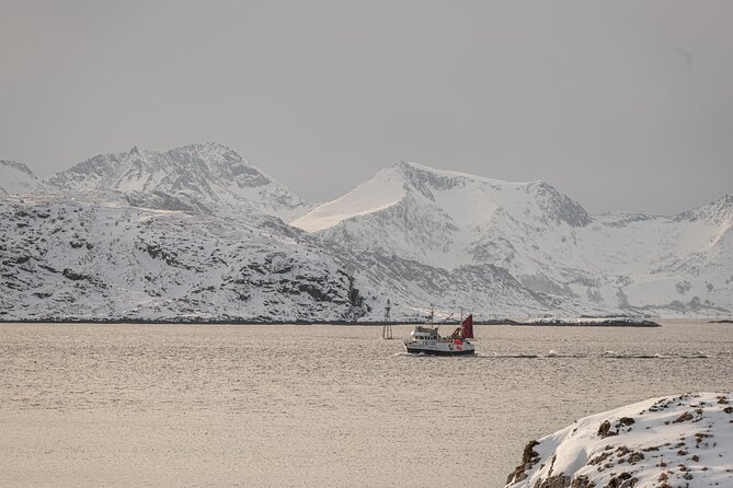 Tromsø: Kvaløya & Sommarøy Guided Fjord Tour with Lunch - Why the Weather Matters So Much