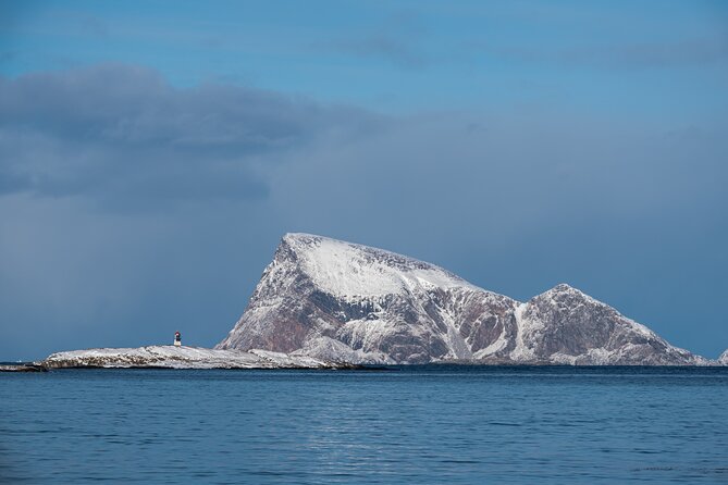 Tromsø: Kvaløya & Sommarøy Guided Fjord Tour with Lunch - Who Will Enjoy This Sommarøy Tour Most