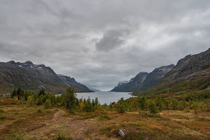 Tromsø: Kvaløya & Sommarøy Guided Fjord Tour with Lunch - Should You Book the Kvaløya and Sommarøy Tour?