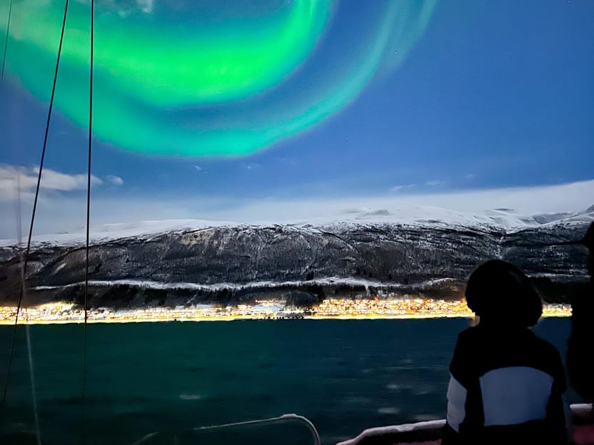 Tromso: Luxury Northern Lights Cruise with Hot Tub & Dinner - Reindeer stew, hot drinks, and a comfortable saloon