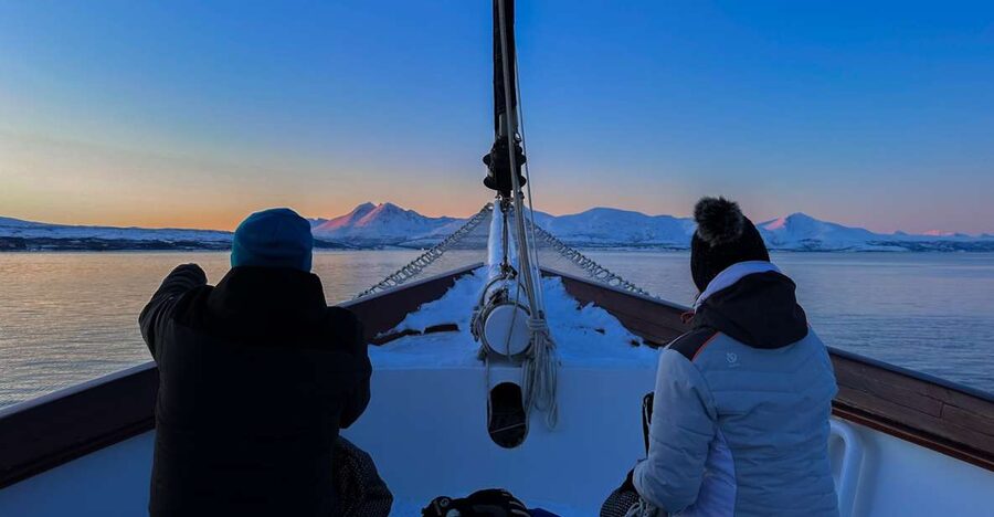 Tromsø: Luxury Polar Fjord Cruise w/ Hot Tub & Polar Plunge - Key points before you book