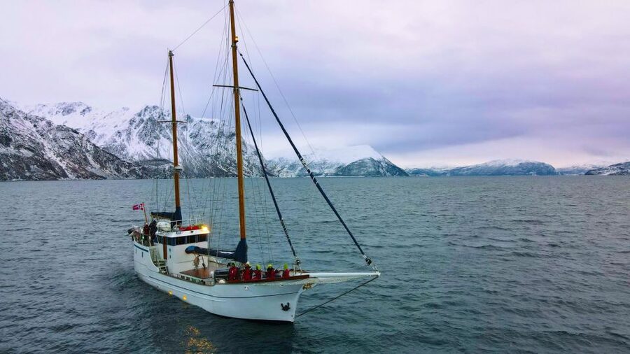 Tromsø: Luxury Polar Fjord Cruise w/ Hot Tub & Polar Plunge - Why Stella Oceana changes the feel of a Tromsø cruise