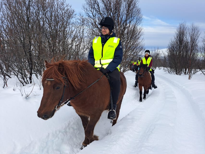 Tromsø: Lyngen Horse Winter Riding Experience - Arriving at Ullstindvegen 1279