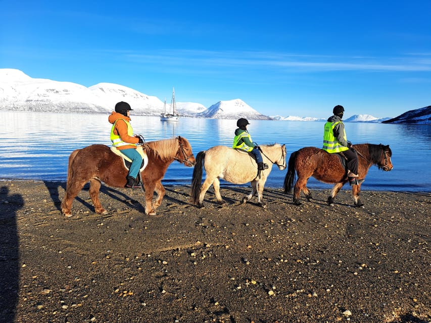 Tromsø: Lyngen Horse Winter Riding Experience - Sixty minutes along the Arctic road