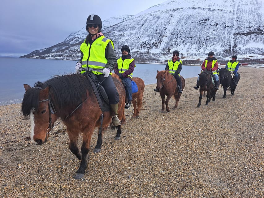 Tromsø: Lyngen Horse Winter Riding Experience - Local stories from the route