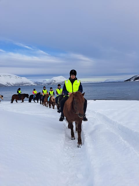 Tromsø: Lyngen Horse Winter Riding Experience - Returning the horse and warming up