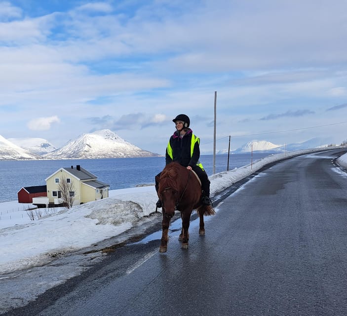 Tromsø: Lyngen Horse Winter Riding Experience - Practical details before you book