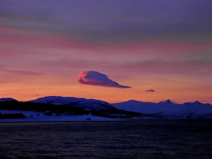 Tromsø: Midnight Sightseeing Cruise All-inclusive - Wildlife on the fjord, with no guarantees