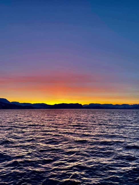 Tromsø: Midnight Sightseeing Cruise All-inclusive - Fishing at midnight: the most hands-on part