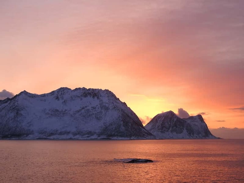 Tromsø: Midnight Sightseeing Cruise All-inclusive - Warm clothes, thermal suits, and the heated lounge