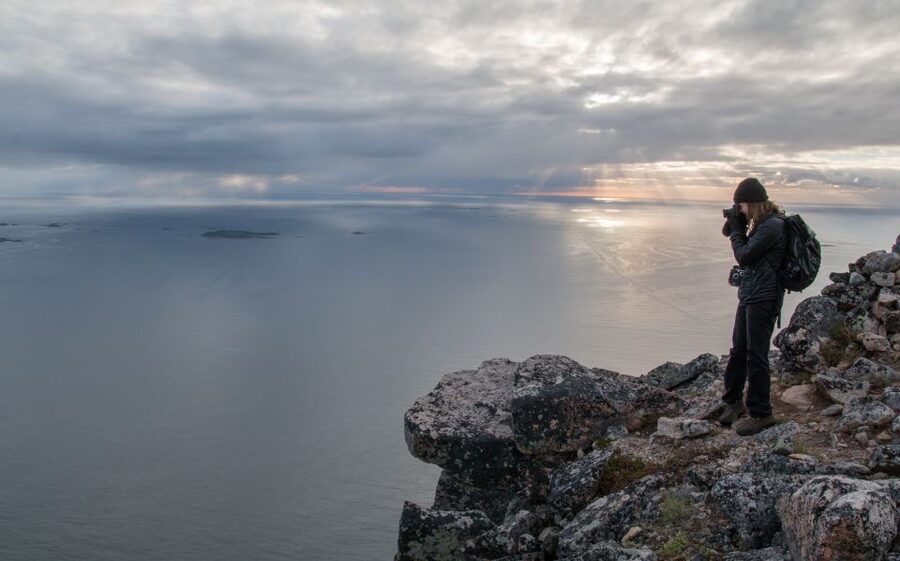 Tromsø: Midnight Sun Hike in the wilderness - Local plants and animals along the route