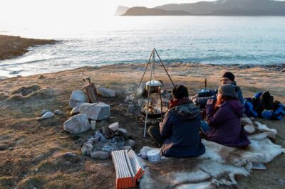 Midnight Sun with Campfire with Wandering Owl
