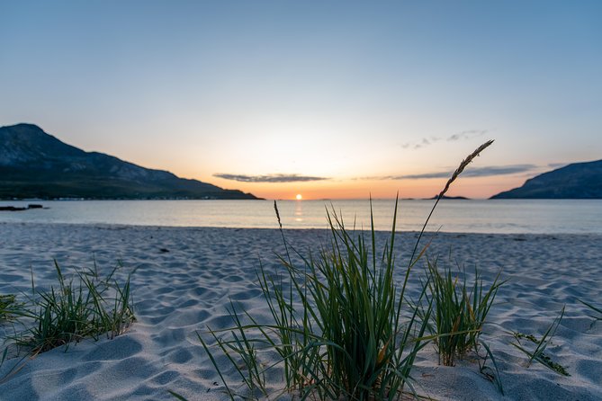 Tromsø: Midnight Sun with Campfire with Wandering Owl - Toilets, weather, and other details to know