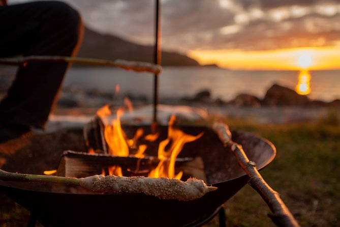 Tromsø: Midnight Sun with Campfire with Wandering Owl - Who will enjoy this Tromsø evening?