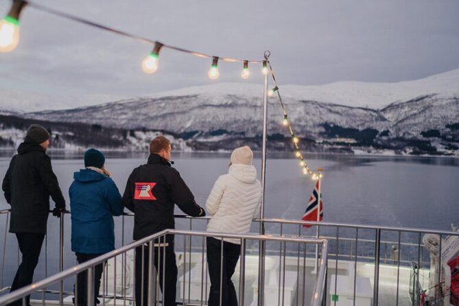 Tromsø, Northern Lights and Wilderness Evening Catamaran Cruise - Boat versus a land-based Aurora hunt