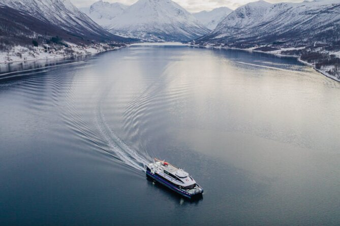 Tromsø, Northern Lights and Wilderness Evening Catamaran Cruise - Booking, cancellations, and the fine print