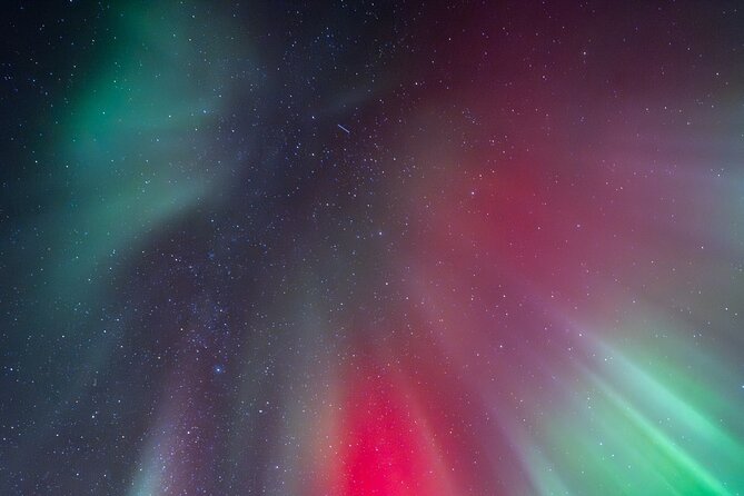 Tromsø: Northern Lights by Minibus - Free Photos and Warm Dinner - Is the price of $237.43 fair?