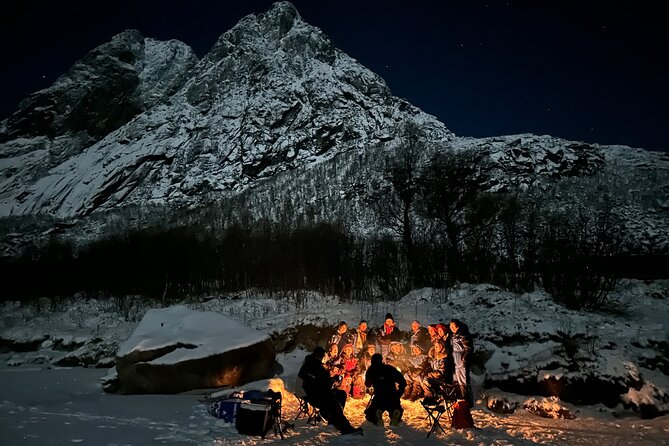 Tromsø: Northern Lights by Minibus - Free Photos and Warm Dinner - Who should book this Blue Puffin outing?