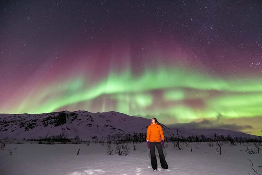 Tromsø: Northern Lights Chase by a comfortable bus - What to wear for seven hours outside