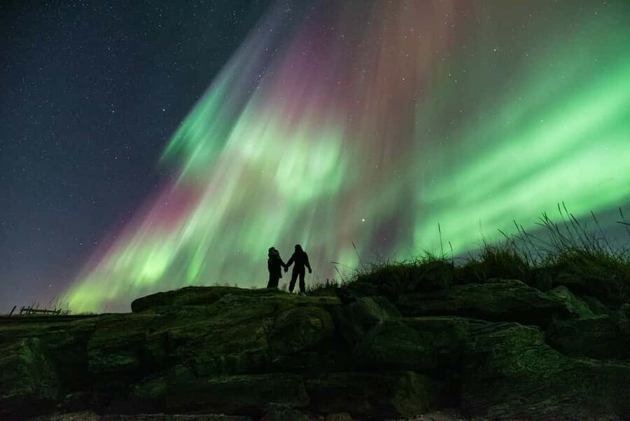 Tromsø: Northern Lights Chase by a comfortable bus - Is $152 a fair price?