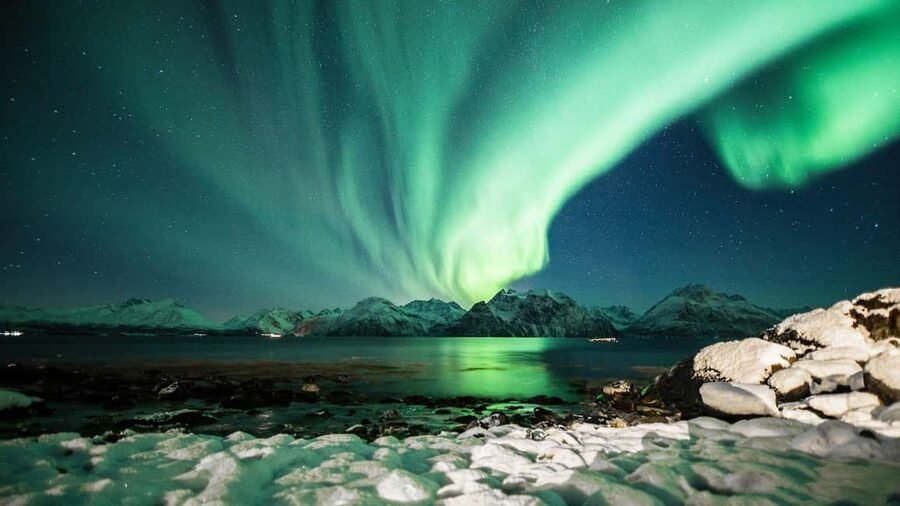 Tromsø: Northern Lights Chase + Free Professional Photos - Campfire food, hot chocolate, and Arctic patience