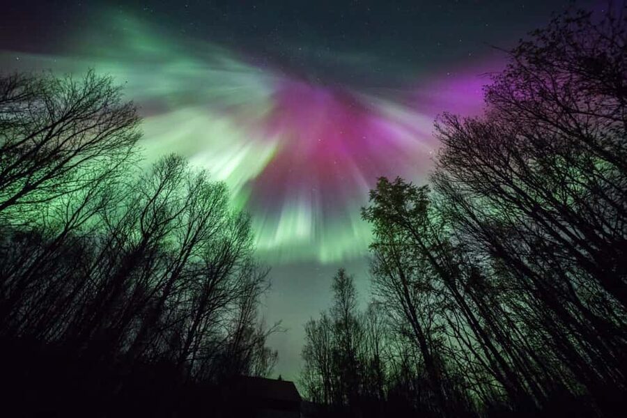 Tromsø: Northern Lights Chase + Free Professional Photos - What the eight-hour schedule feels like