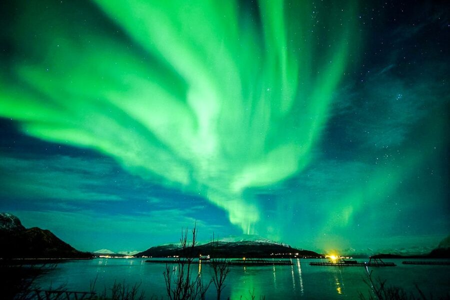 Tromsø: Northern Lights Chase Minibus Tour - Price, comfort, and overall value