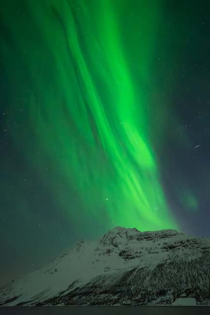 Tromsø: Northern Lights Focus Tour, German/English, minibus, meal - Key points before you book