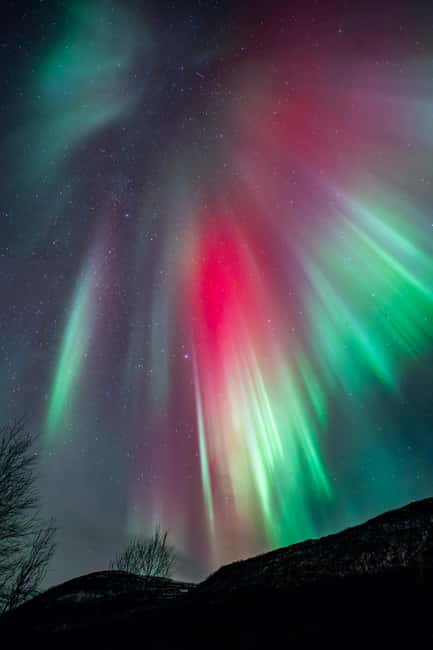 Tromsø: Northern Lights Focus Tour, German/English, minibus, meal - Thermal suits, headlamps, and the cold-weather setup