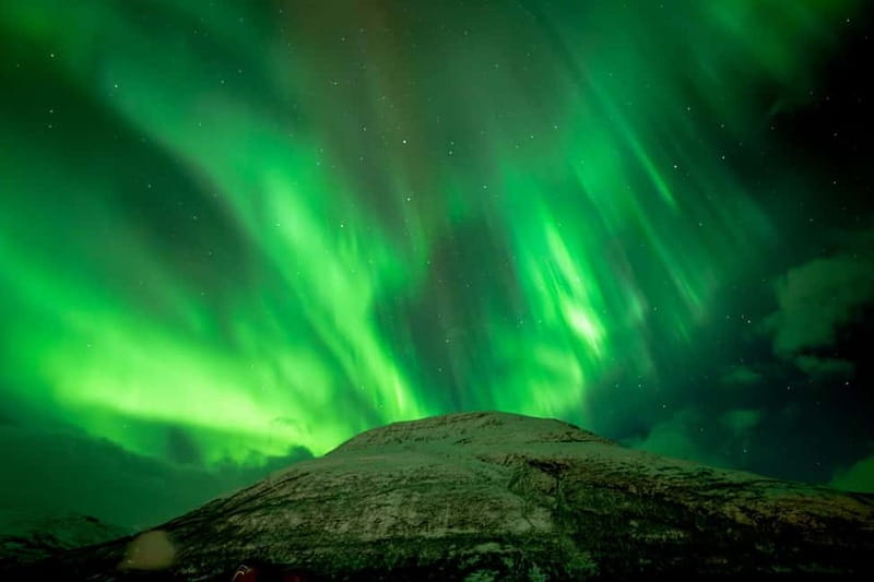 Tromsø: Northern Lights Focus Tour, German/English, minibus, meal - Photography help for cameras and phones